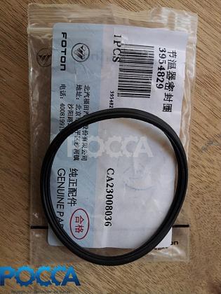 Уплотнение термостата CUMMINS (Камминз) ISF3.8 ISBe 6BT