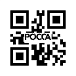 Элемент фильтрующий очистки воздуха FAW (Фав) FOTON (Фотон) 5122 (к-т большой+малый) K2337 фото 2