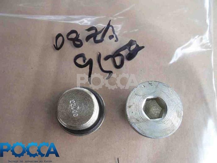Заглушка М22х1.5 бортового редуктора (мост STEYR) HOWO (Хово) SHAANXI (Шанкси) SHACMAN (Шакман) 190003961309