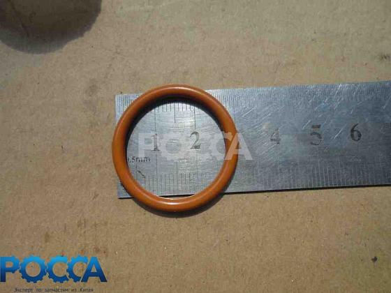 Кольцо уплотнительное втулки форсунки HOWO (Хово)