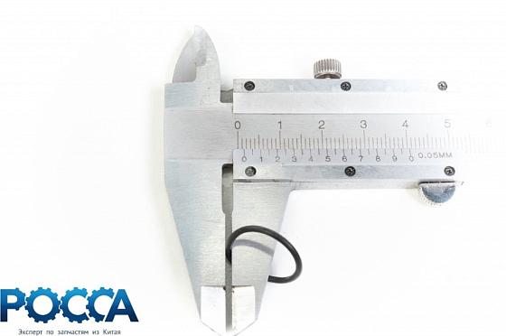 Кольцо форсунки (резиновое) Евро-3 BAW (Бав)